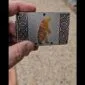 A person holding a metal plate with an image of a polar bear.
